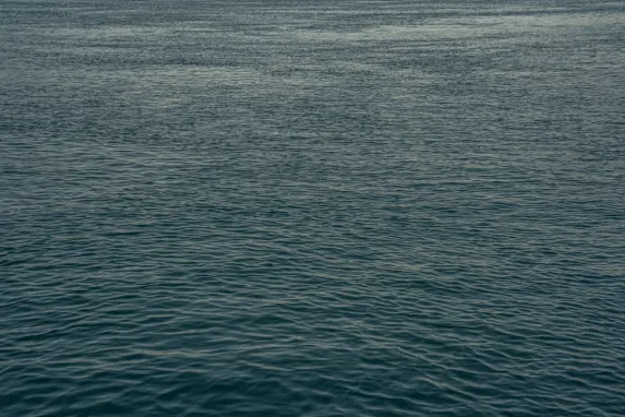 Casino Jackpot Molly Supporto